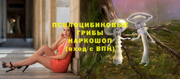 гидра Белоозёрский